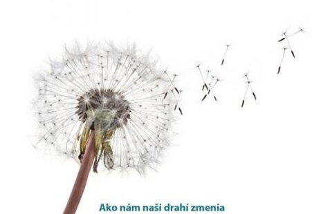 Bronnie Ware: Čo pred smrťou najviac ľutujeme